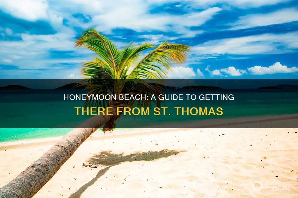 how to get to honeymoon beach from st thomas