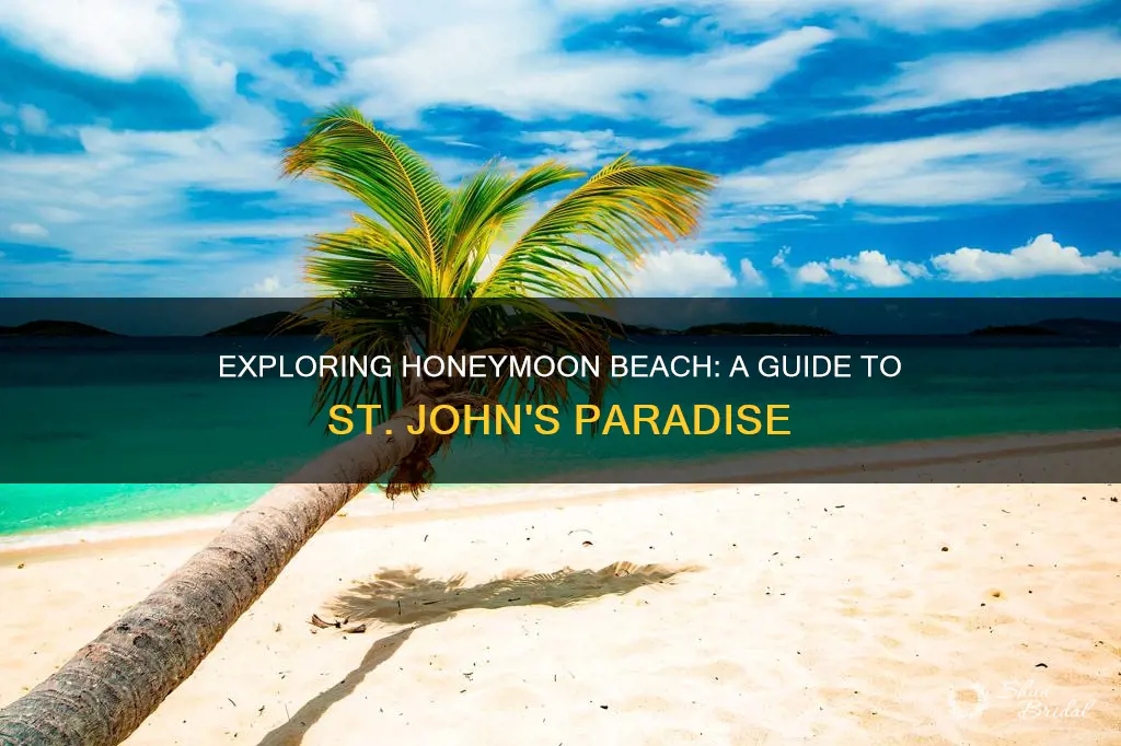 how to get to honeymoon beach st john