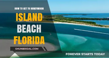 Discover Honeymoon Island Beach: Your Ultimate Florida Getaway Guide