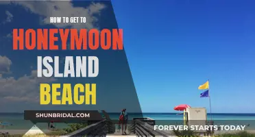 Honeymoon Island Beach: A Guide to Getting There and Back