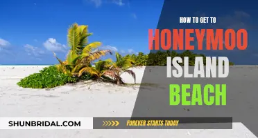 Honeymoon Island Beach: A Guide to Getting There