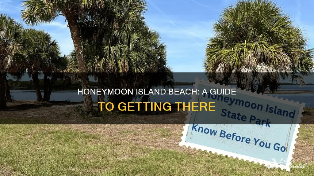 how to get to honeymoon island beach