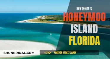 Honeymoon Island Getaway: A Guide to Reaching Paradise in Florida