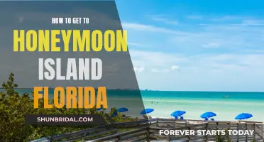 Honeymoon Island Florida: A Guide to Getting There