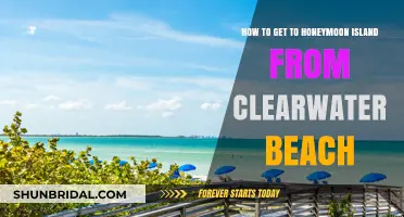 Honeymoon Island Escape: Easy Travel Tips from Clearwater Beach