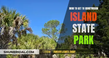 Honeymoon Island State Park: A Guide to Getting There