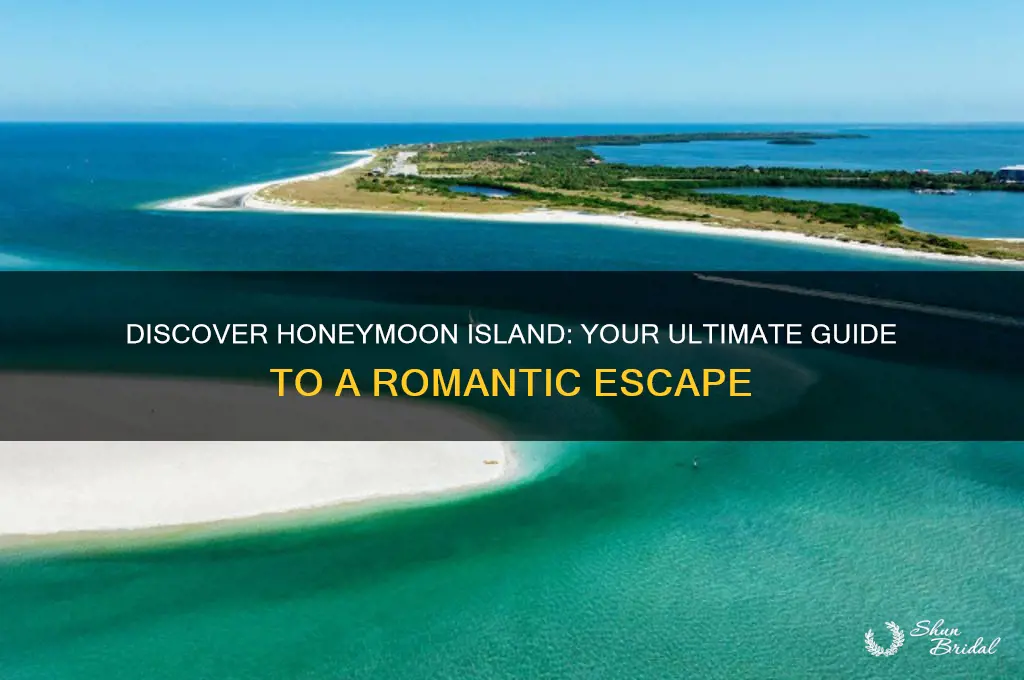 how to get to honeymoon island