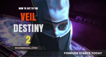 Mastering the Path: Reach the Veil in Destiny 2 Effortlessly