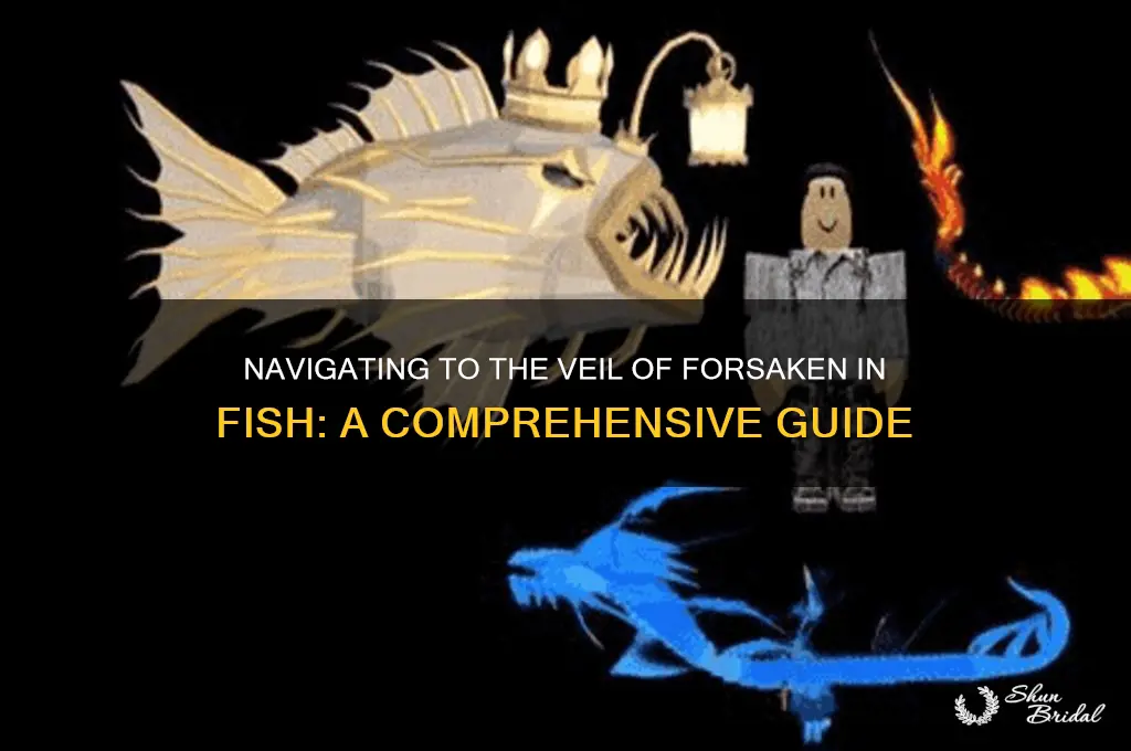 how to get to the veil of forsaken in fish