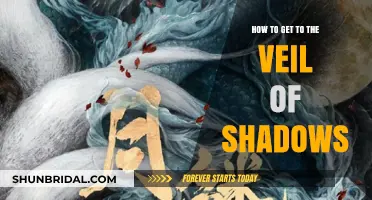 Unveiling the Path: Navigating to the Veil of Shadows