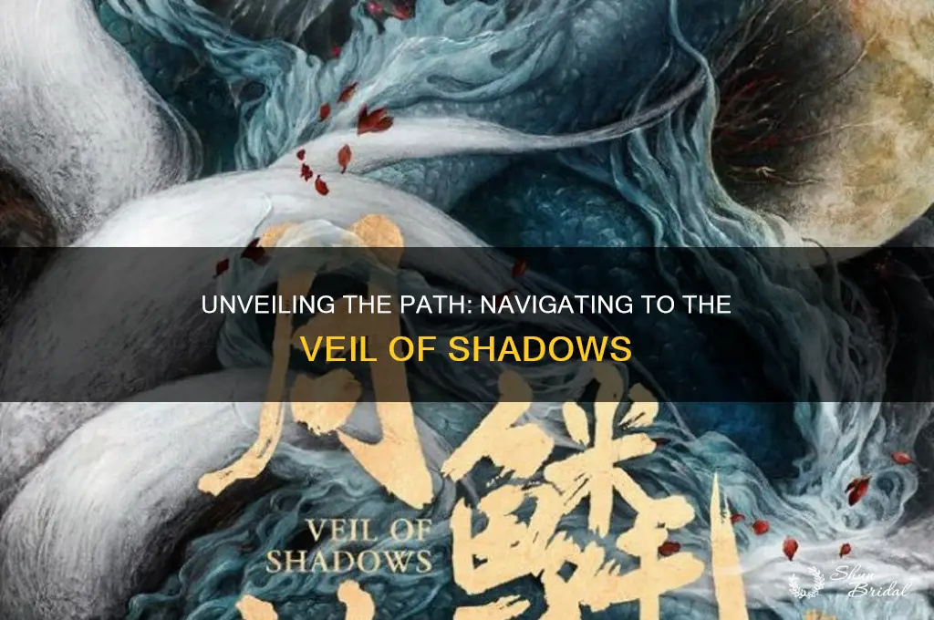 how to get to the veil of shadows