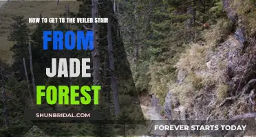 Navigating to the Veiled Stair from Jade Forest: A Quick Guide