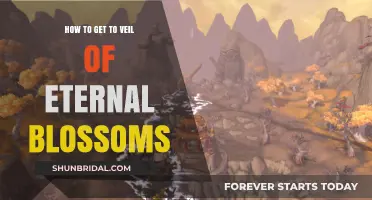 Unlocking the Path to Veil of Eternal Blossoms: A Guide