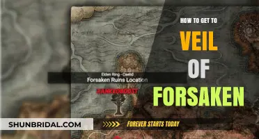 Unveiling the Path: A Guide to Reaching Veil of Forsaken