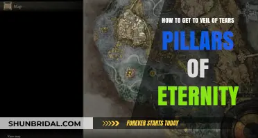 Navigating to Veil of Tears in Pillars of Eternity: A Guide