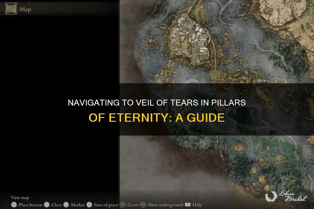 how to get to veil of tears pillars of eternity