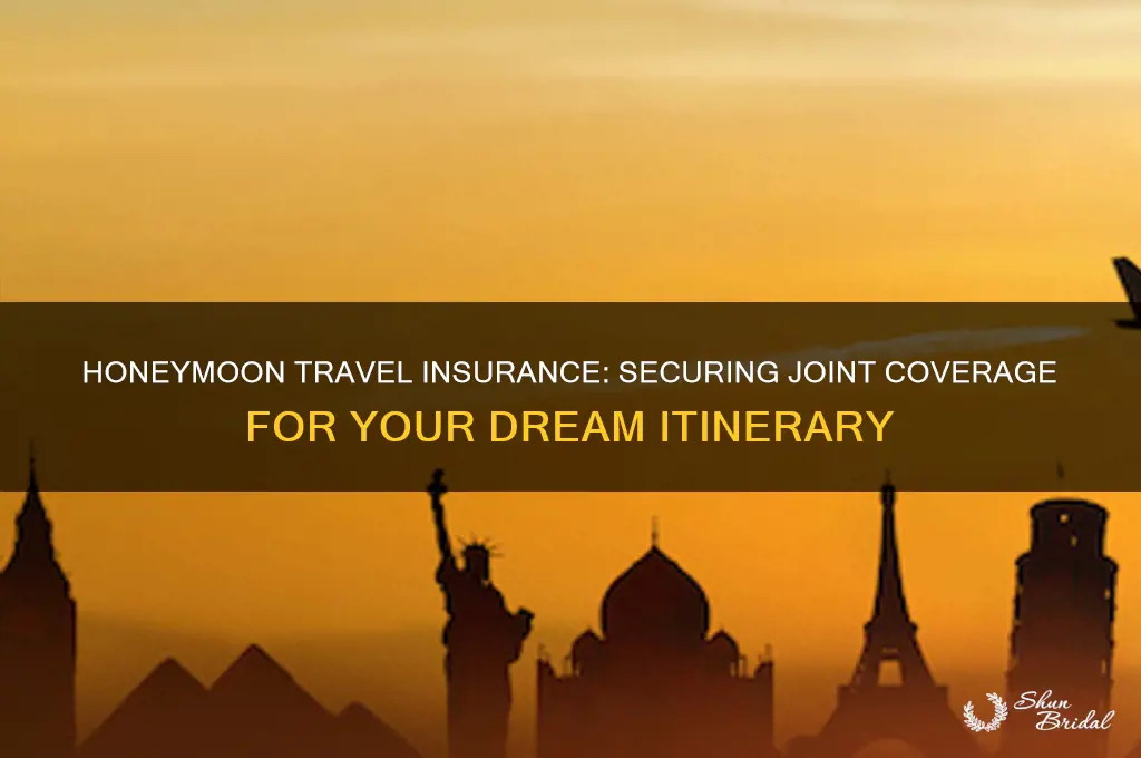 how to get travel insurance for joint honeymoon itinerary