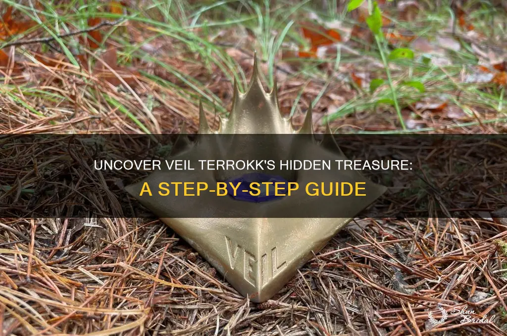 how to get treasure at veil terrokk