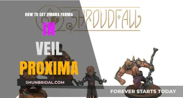 Mastering Veil Proxima: A Guide to Obtaining Umbra Forma