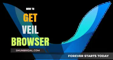 Secure Browsing Made Easy: How to Get Veil Browser