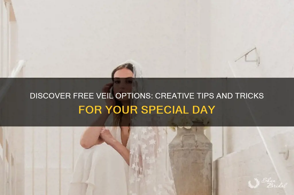 how to get veil for free
