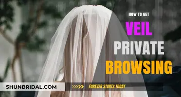 Secure Your Online Privacy: Master Veil Private Browsing Techniques