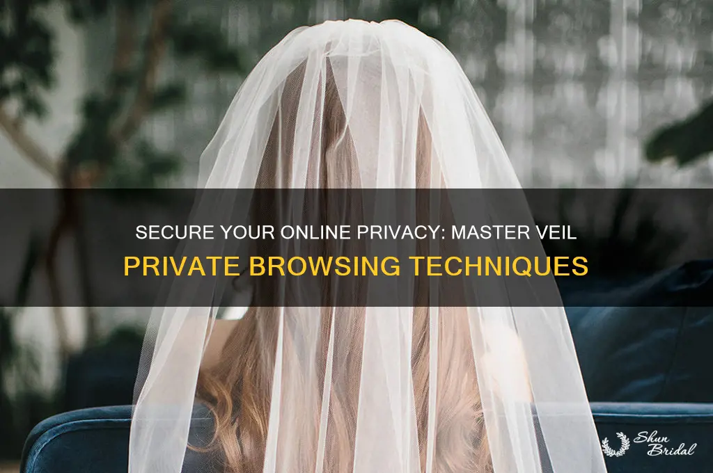 how to get veil private browsing