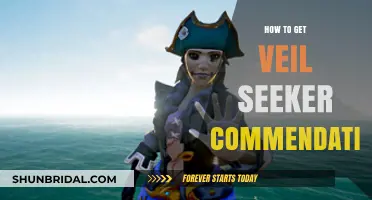 Mastering Veil Seeker Commendation: Essential Tips and Strategies for Success