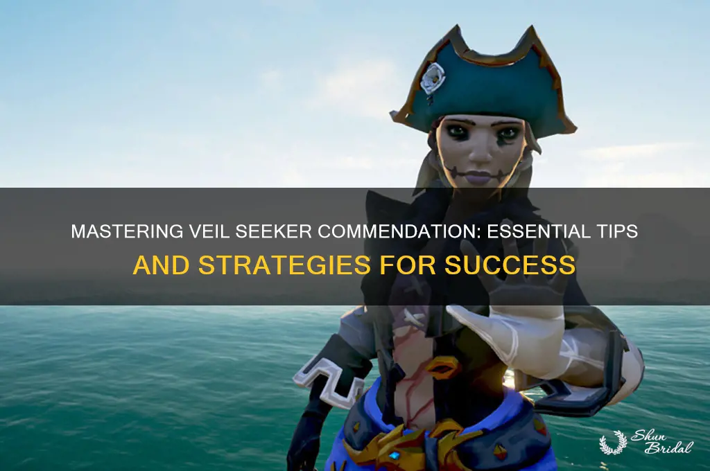 how to get veil seeker commendation