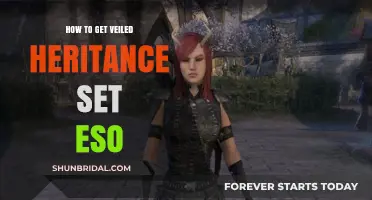 Elder Scrolls Online Guide: Unlock Veiled Heritance Set Easily
