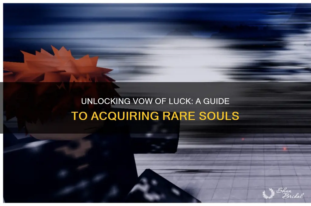 how to get vow of luck type soul