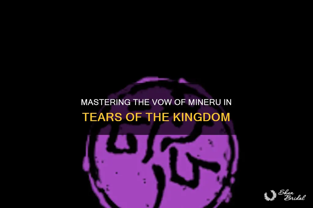 how to get vow of mineru totk