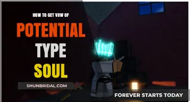 Unlocking the Vow of Potential: A Guide to Obtaining This Soul Type