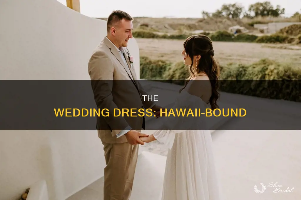 how to get wedding dress to hawaii
