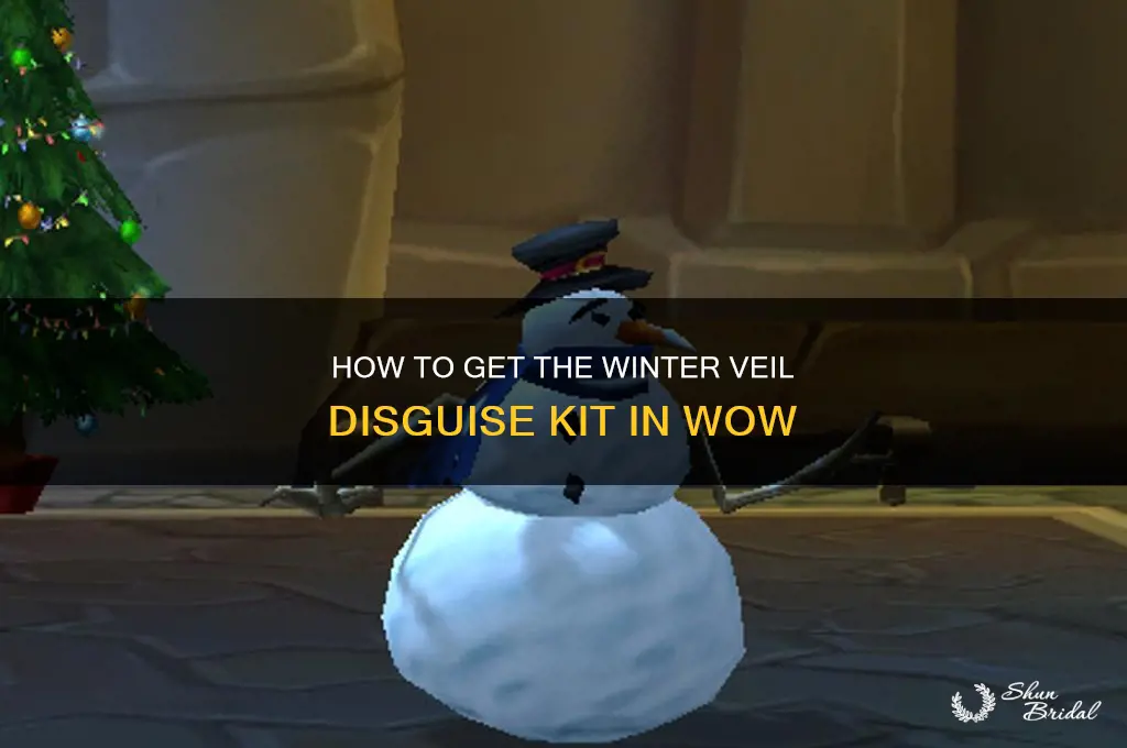 how to get winter veil disguise kit