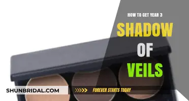 Unlocking Year 3 Shadow of Veils: A Comprehensive Guide