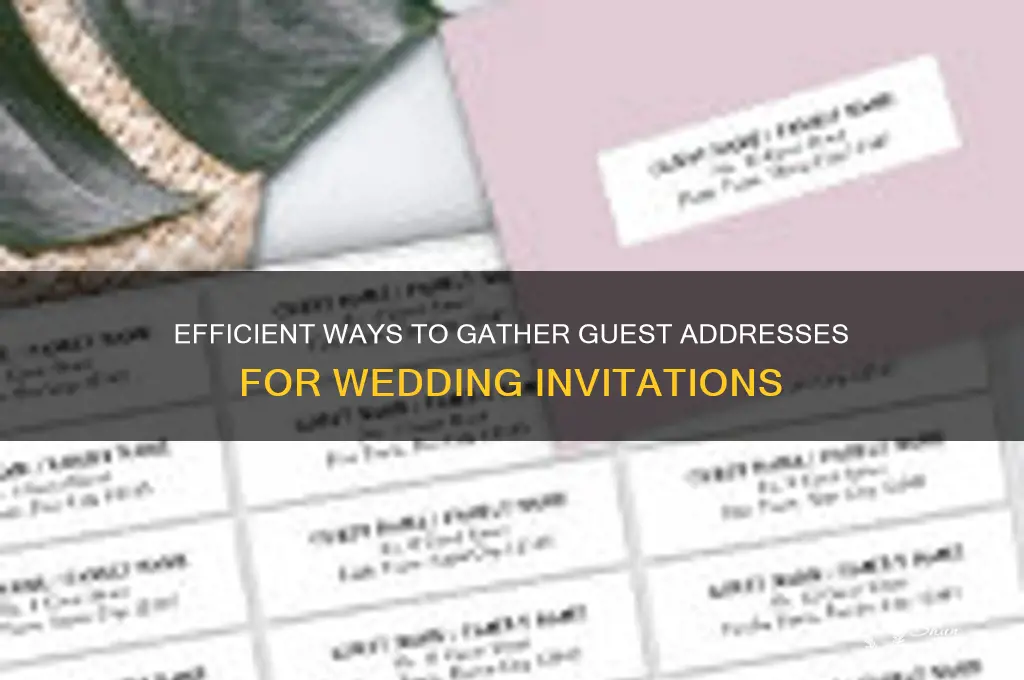 how to go about getting addtesses for wedding imvjtstuons