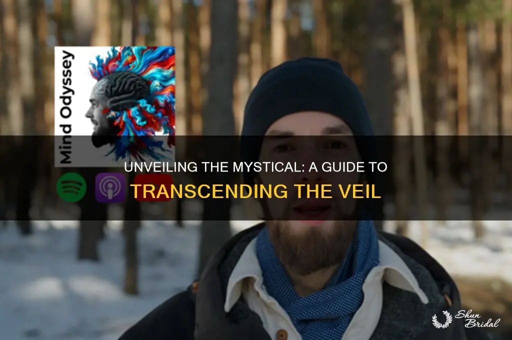 how to go beyond the veil