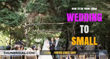 Downsizing Your Dream: Tips for Transitioning to a Small Wedding