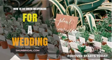 Eco-Friendly Wedding Tips: Affordable Ways to Go Green on Your Big Day