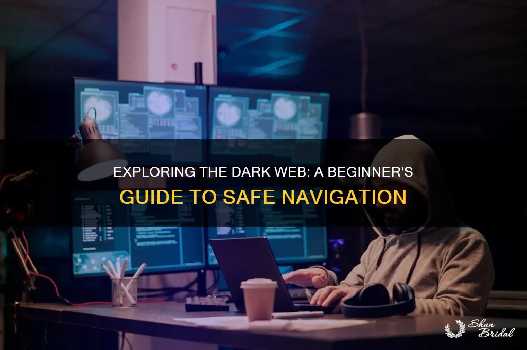 how to go on the dark wed