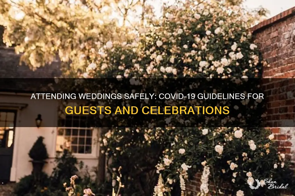 how to go to a wedding during covid