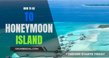 Honeymoon Island: A Guide to Planning Your Tropical Escape
