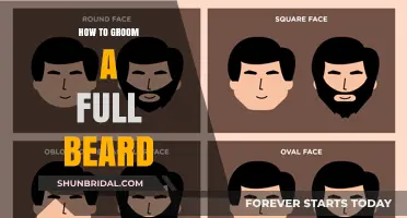 Mastering the Art of Beard Grooming: A Comprehensive Guide