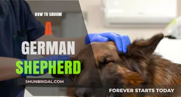 Mastering the Art of Grooming Your German Shepherd Companion