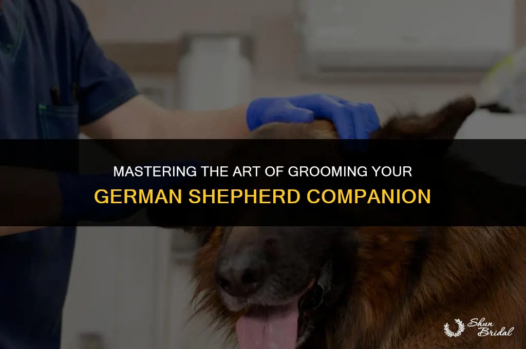 how to groom a german shepherd