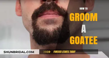 Mastering the Art of Goatee Grooming: A Step-by-Step Guide