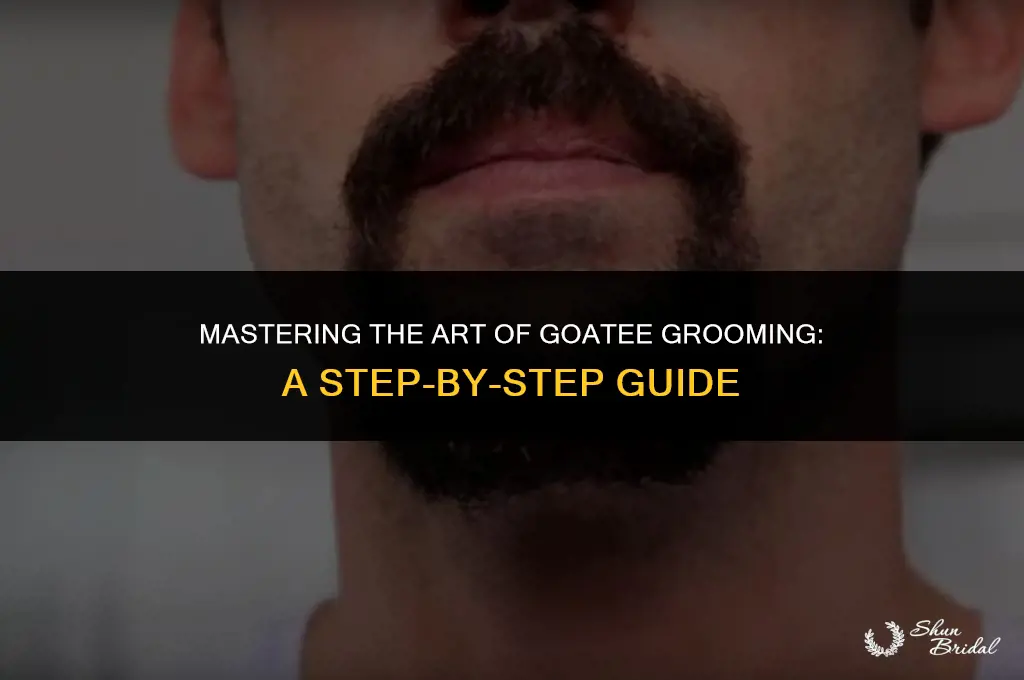 how to groom a goatee