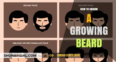 Mastering the Art of Beard Grooming: A Comprehensive Guide