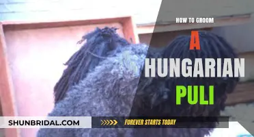 Mastering the Art of Grooming Your Hungarian Puli: A Comprehensive Guide